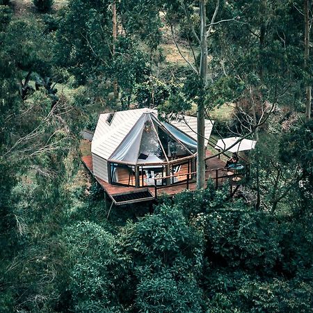 Glamping Lumbre Villa Salento Eksteriør billede