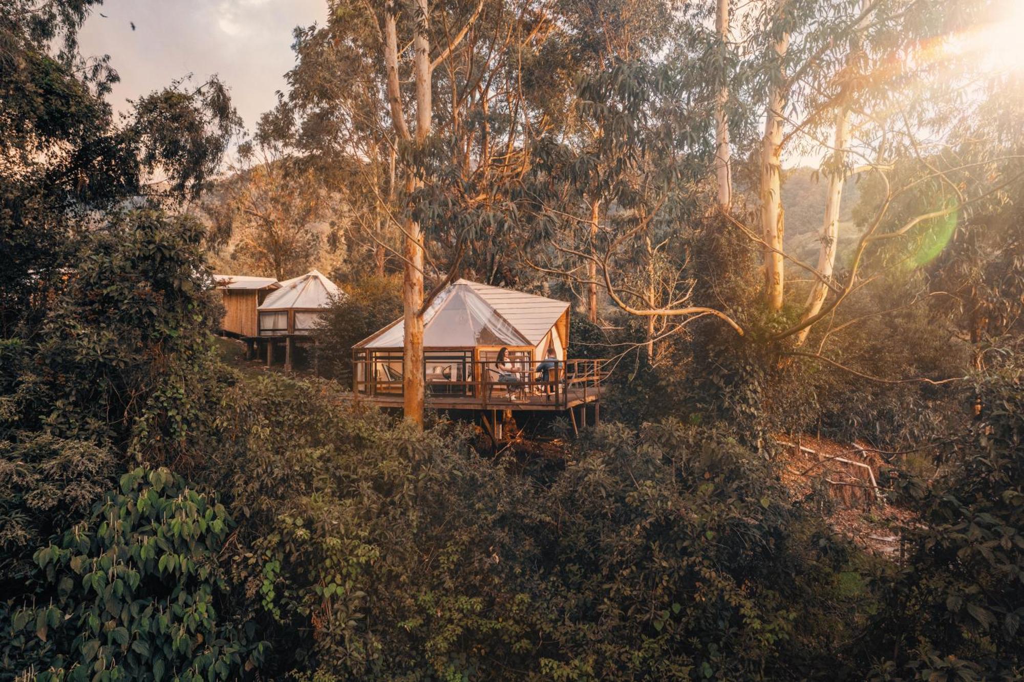 Glamping Lumbre Villa Salento Eksteriør billede