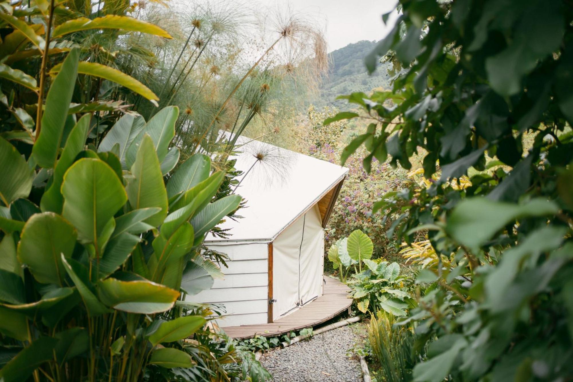 Glamping Lumbre Villa Salento Eksteriør billede