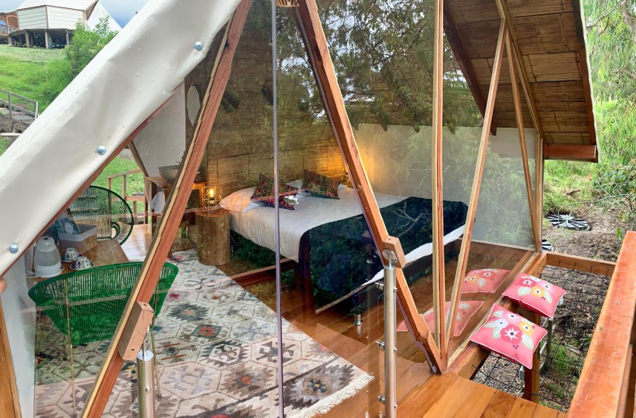 Glamping Lumbre Villa Salento Eksteriør billede